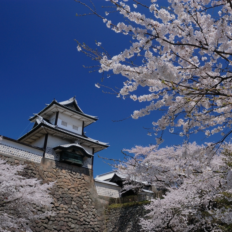 石川